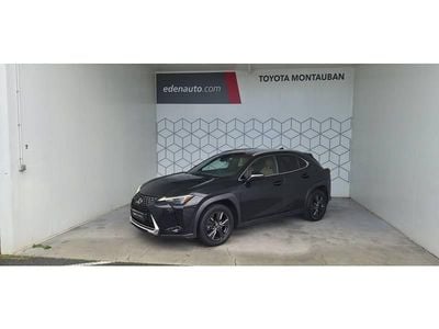 Occasion Lexus UX 250h 184 ch (135 kW) 2022 SUV