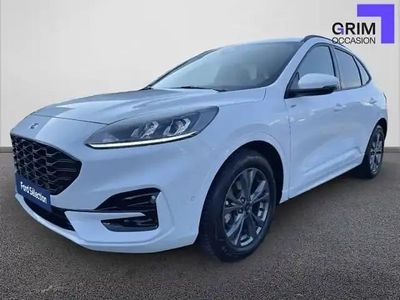 Blanc Occasion 2022 Ford Kuga ST-Line SUV | 28 190 € (Prix juste)