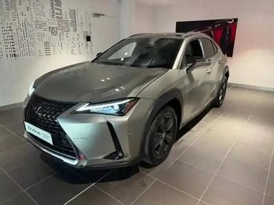 Occasion Lexus UX 250h 152 ch (111 kW) 2023 Gris titane métallisé SUV
