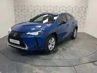 occasion Lexus UX 250h 2wd Pack Confort Business+stage "hybrid Academy"