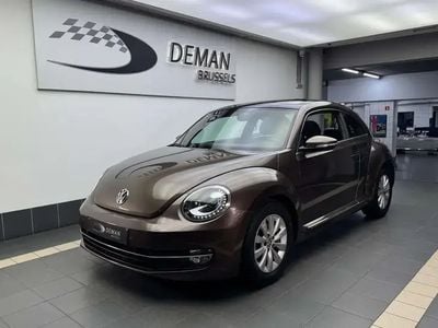 VW Beetle