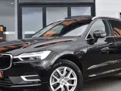 occasion Volvo XC60 T8 Twin Engine 303 + 87ch Business Executive Geartronic