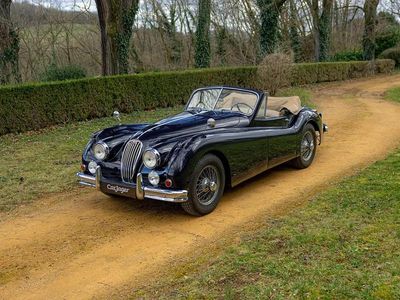 Bleu Occasion 1955 Jaguar XK Cabriolet | 82 000 €
