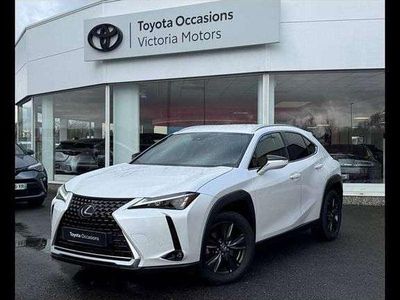 Occasion Lexus UX 184 ch (135 kW) 2023 SUV