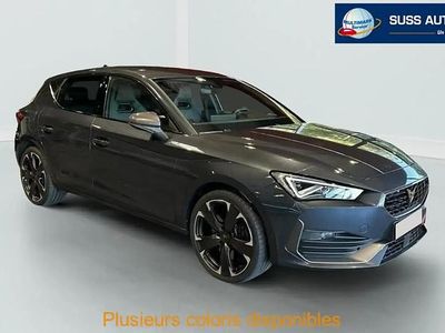 Gris Nouvelle 2025 Cupra Formentor SUV | 41 434 € (Prix cher)