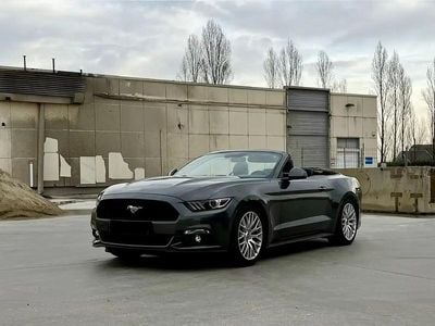 Gris Occasion 2017 Ford Mustang Cabriolet | 38 700 € (Prix assez cher)