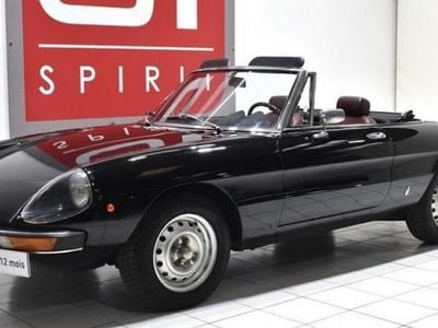 Occasion 1978 Alfa Romeo Spider Cabriolet | 29 900 €