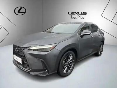 Occasion Lexus NX450h+ Executive Line 188 ch (138 kW) 2023 Gris SUV