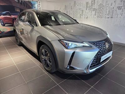 Occasion Lexus UX 300h 152 ch (111 kW) 2026 SUV