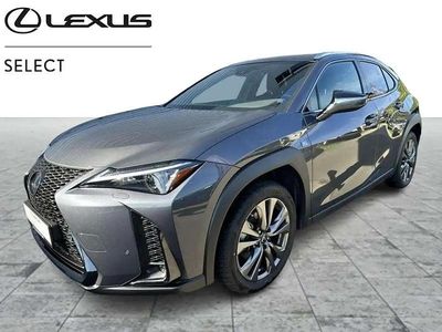 Gris Occasion 2023 Lexus UX 250h Sport Design Packet SUV | 37 743 €
