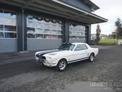 Occasion Ford Mustang 203 ch (149 kW) 1966 Blanc Coupé