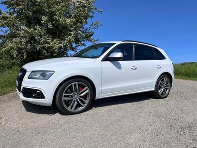 occasion Audi SQ5 SQ53.0 TDI quattro tiptronic