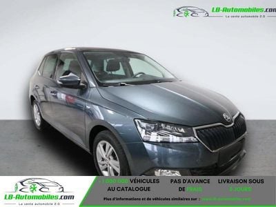 Occasion 2020 Skoda Fabia Citadine | 19 900 € (Prix juste)
