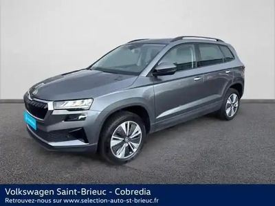Occasion Skoda Karoq Business Line 2023 Gris graphite métallisée SUV