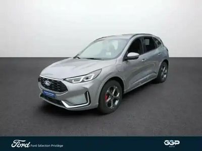 Vert Occasion 2024 Ford Kuga ST-Line X SUV | 34 799 €