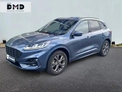 Bleu Occasion 2024 Ford Kuga Business Edition SUV | 30 990 € (Prix juste)