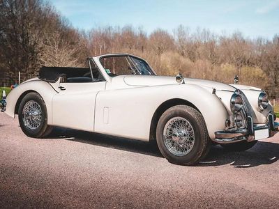Beige Occasion 1956 Jaguar XK Cabriolet | 115 000 €