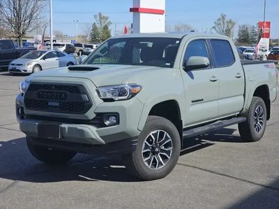 occasion Toyota Tacoma 72.900 TTC V6 3.5L 2022