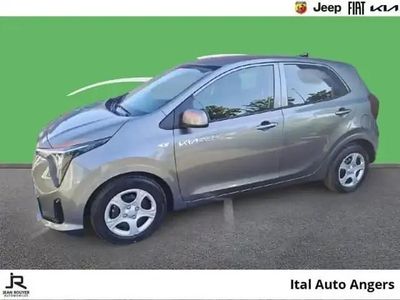 Gris Occasion 2025 Kia Picanto Active Citadine | 15 489 € (Prix juste)