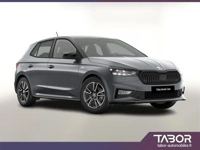 Gris Nouvelle 2025 Skoda Fabia | 23 141 € (Prix juste)