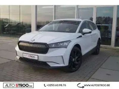 occasion Skoda Enyaq iV 80 Sport Acc Caera Led Alu Newm