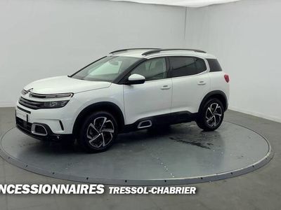 occasion Citroën C5 Aircross BlueHDi 130 S&S EAT8 Shine