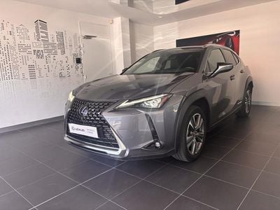 Lexus UX 300e