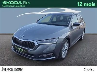Gris Occasion 2023 Skoda Octavia Break | 28 990 € (Prix juste)