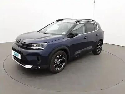 Occasion Citroën C5 Aircross 2025 Bleu SUV