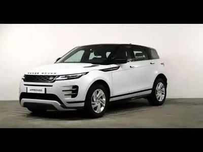 Occasion Land Rover Range Rover evoque R-Dynamic 2021 Fuji white SUV