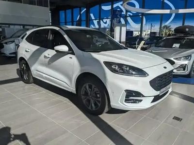 Occasion Ford Kuga ST-Line X 152 ch (111 kW) 2024 Blanc SUV