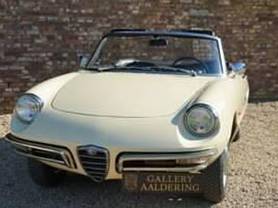 Occasion Alfa Romeo Spider 109 ch (80 kW) 1967 Beige Cabriolet