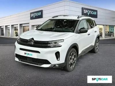 Occasion Citroën C5 Aircross 2025 Blanc okénite (m) SUV