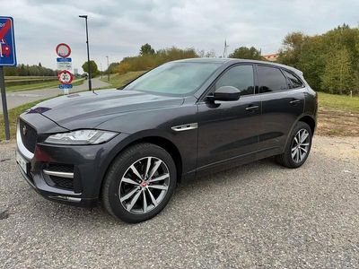Gris Occasion 2019 Jaguar F-Pace R-Sport SUV | 26 990 €