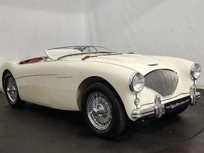 Occasion Austin Healey 100 1955 Blanc Cabriolet