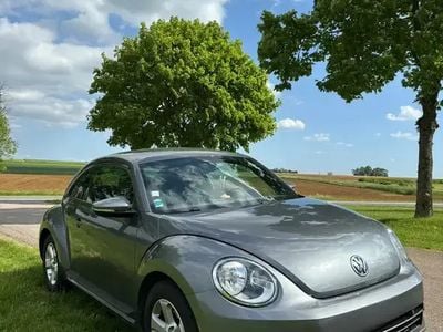 VW Beetle