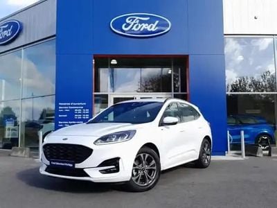 Occasion Ford Kuga ST-Line 2024 Blanc glacier SUV