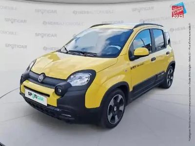 Jaune Occasion 2025 Fiat Panda Classica Citadine | 17 999 € (Prix assez cher)