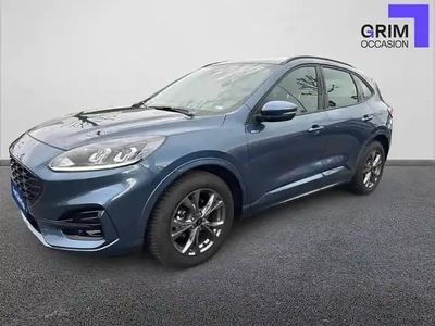 Bleu Occasion 2024 Ford Kuga SUV | 28 490 € (Prix juste)
