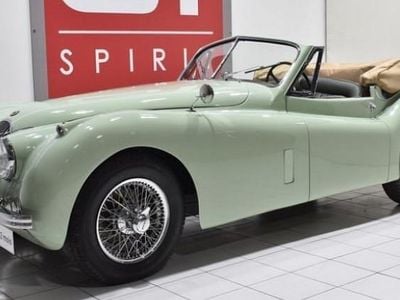 Occasion 1953 Jaguar XK Cabriolet | 114 900 €