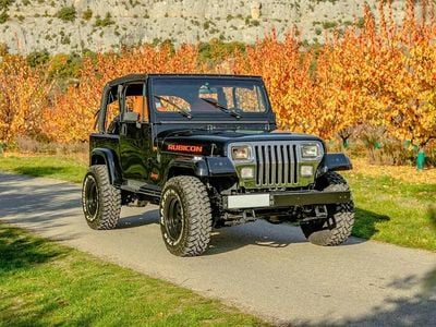 Noir Occasion 1993 Jeep Wrangler Laredo SUV | 35 000 €