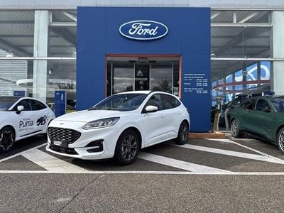 Blanc glacier Occasion 2022 Ford Kuga ST-Line SUV | 22 590 € (Prix juste)