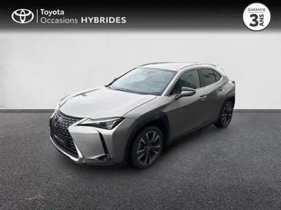 Gris titane métallisé Occasion 2024 Lexus UX 300h SUV | 34 990 € (Prix cher)