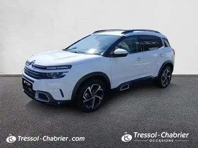 Occasion Citroën C5 Aircross Feel 2019 Blanc SUV