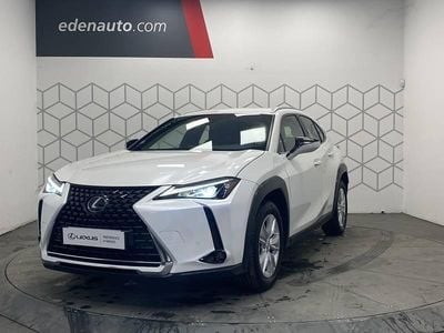 Occasion Lexus UX 250h Business Edition 184 ch (135 kW) 2022 SUV
