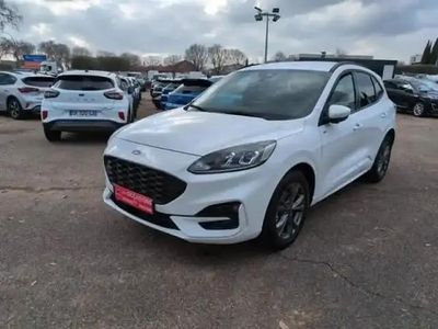 Blanc glacier Occasion 2023 Ford Kuga ST-Line SUV | 25 490 € (Prix juste)