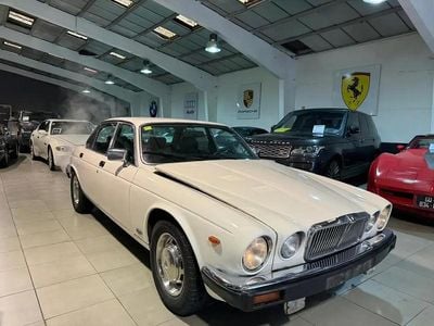 Blanc Occasion 1983 Jaguar XJ6 Berline | 9 990 €