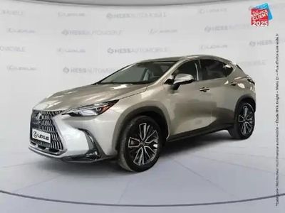 Occasion Lexus NX450h+ Executive Line 193 ch (141 kW) 2023 Gris titane métallisé SUV