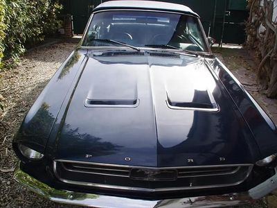 Bleu Occasion 1967 Ford Mustang Cabriolet | 34 000 €