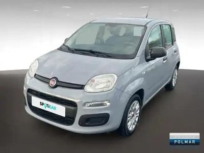 Occasion Fiat Panda S 2022 Gris moda pastel extrasérie Berline